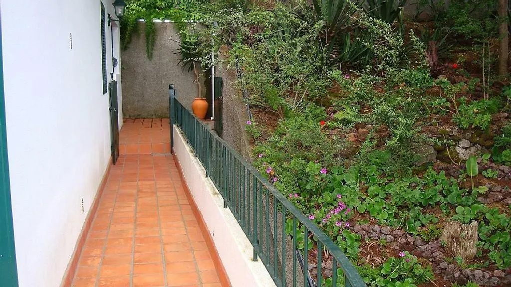 Apartamento Charmoso No Funchal, Com Grande Jardim E Vista Esplendida Appartamento